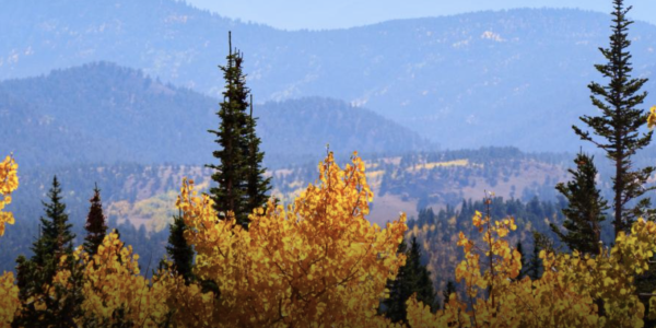 Colorado landscape with mountains and aspen trees