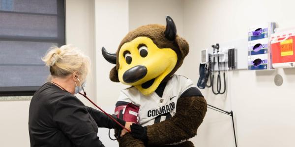 photo of chip getting a checkup at medical services.