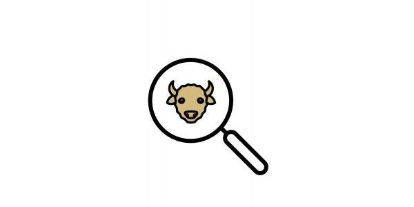 Magnifying glass with a buffalo