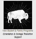New Student & Family Programs Orientation & College Transition Support