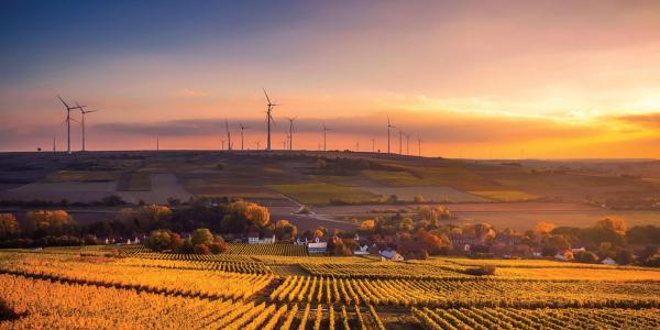 Agricultural landscape and windfarm at sunset