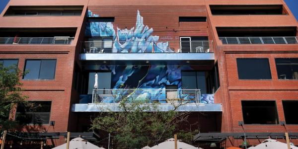 Sea ice mural in downtown Boulder by Kendall Kippley