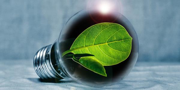 Graphic of lightbulb with leaf as light source