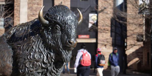 Buffalo sculpture with students in the background