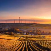 Agricultural landscape and windfarm at sunset