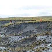 An Alfred Wegener Institute permafrost team inspects a massive thaw slump on the Yedoma coast of the Bykovsky Peninsula.