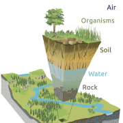 Western water diagram showing from top to bottom: air, organisms, soil, water, rock