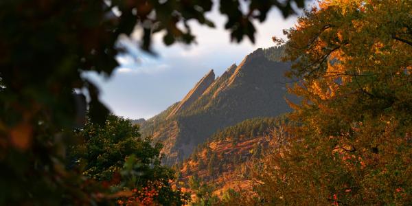The majestic Flatirons above Boulder framed in fall colors. 