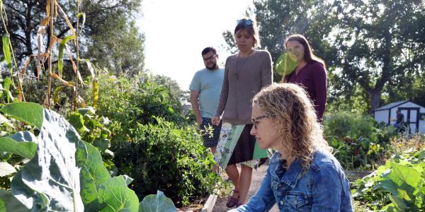 Jill Litt checks on a community garden next to Regis University