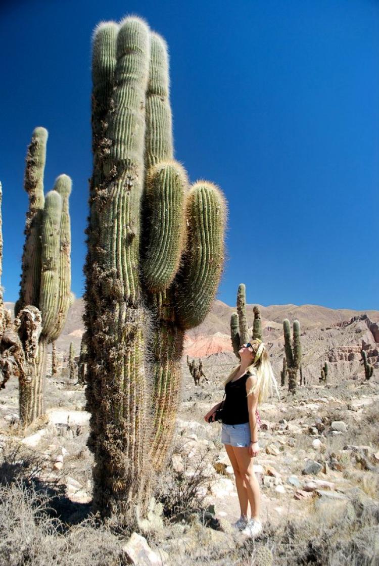 Student standing next to a giant cactus in Argentina