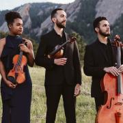 the Ivalas Quartet