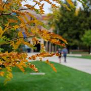 Fall leaves frame the campus (CU Boulder/Patrick Campbell)