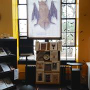 Bats: Language & Cultures exhibit