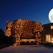 Buffalo light sculpture