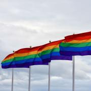 pride flags on flag poles