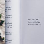 short poem in a book of poetry